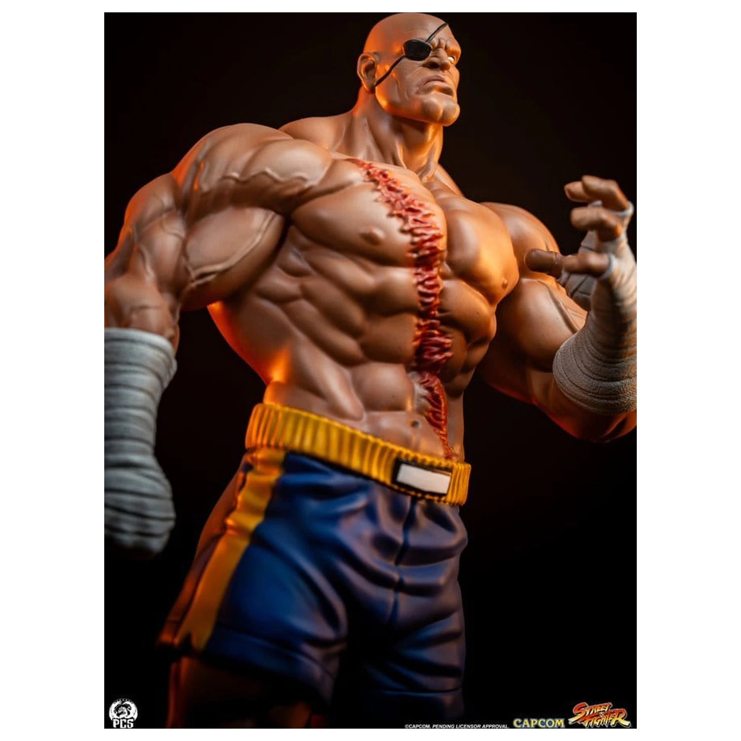 Street Fighter Street Jam statue 1/10 Sagat & Juli 24 cm fotografija proizvoda