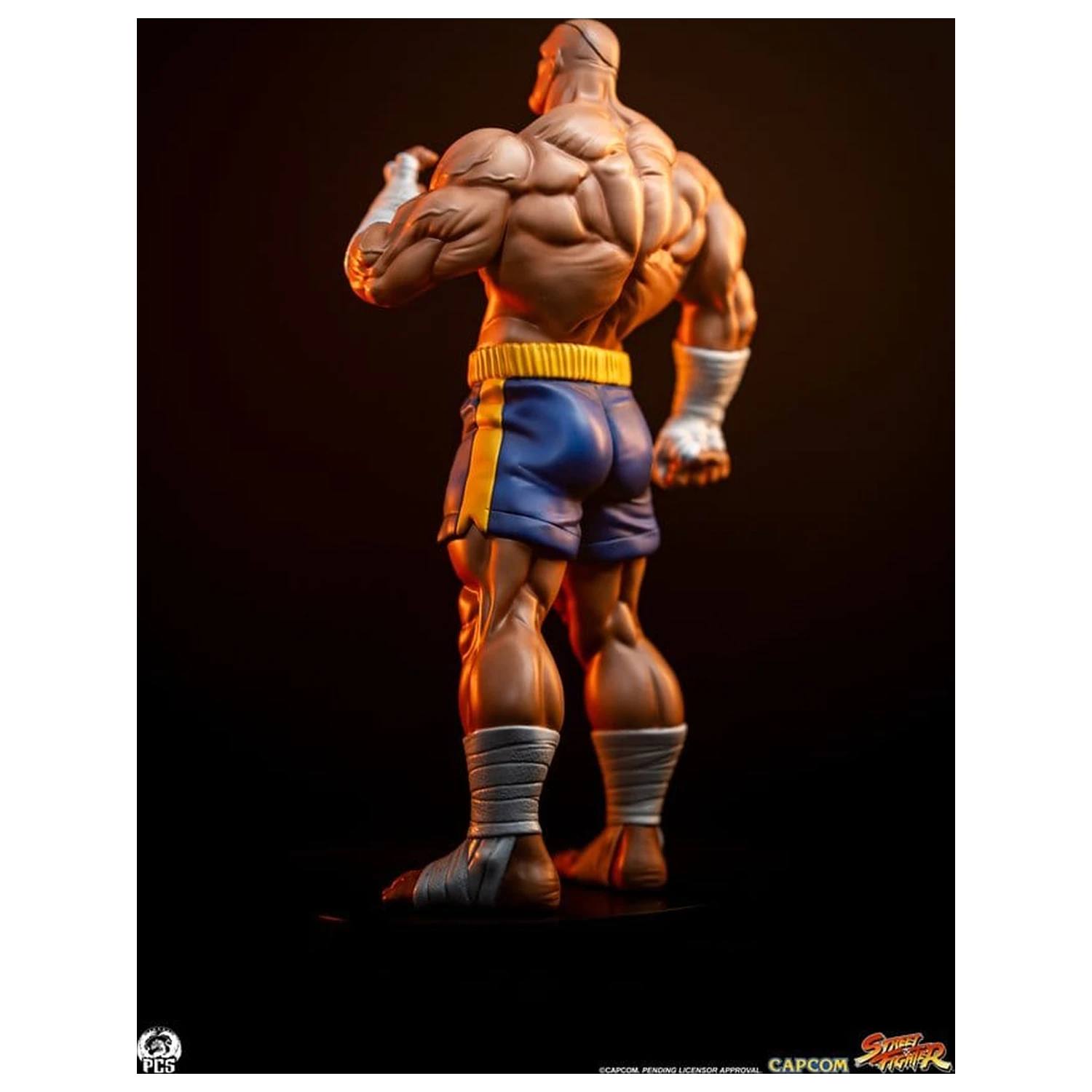 Street Fighter Street Jam statue 1/10 Sagat & Juli 24 cm fotografija proizvoda