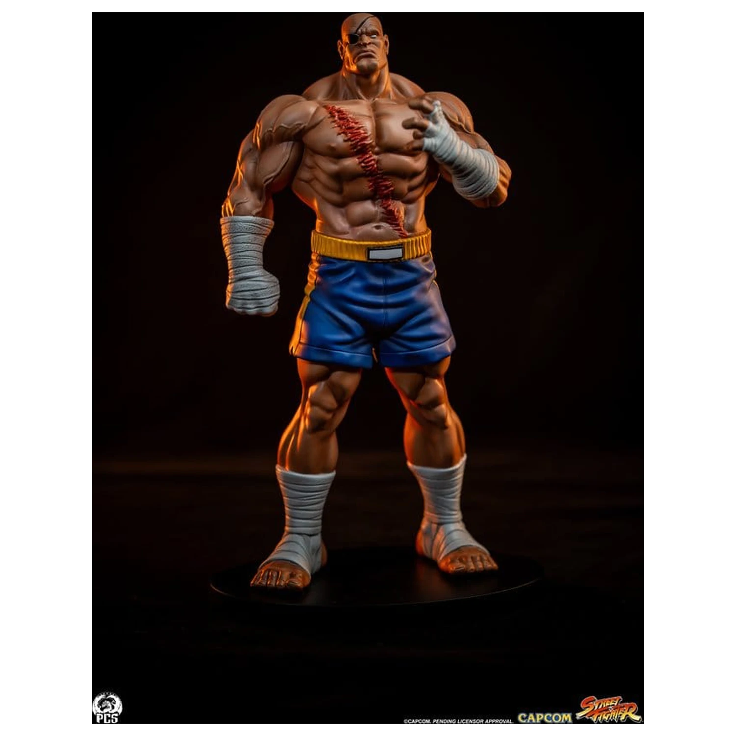 Street Fighter Street Jam statue 1/10 Sagat & Juli 24 cm fotografija proizvoda