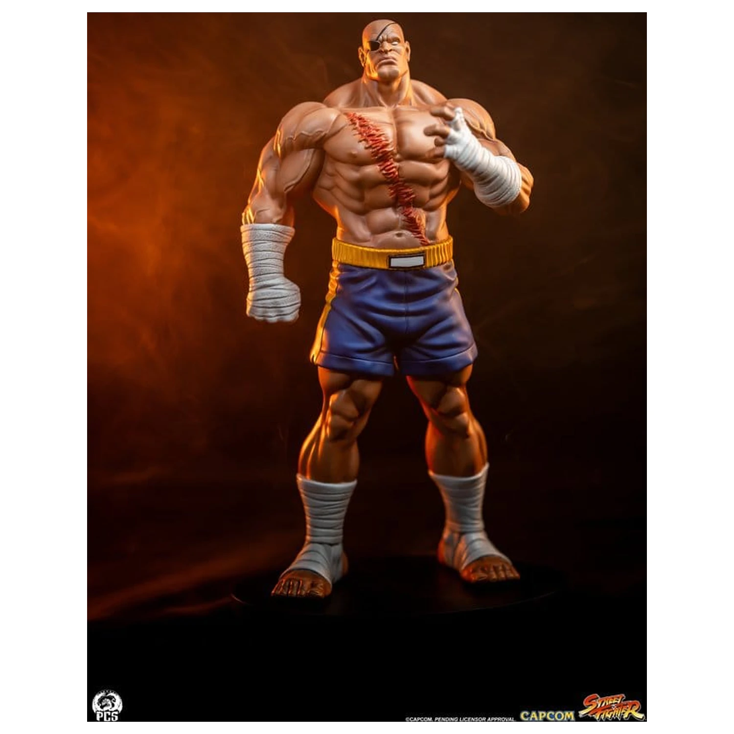Street Fighter Street Jam statue 1/10 Sagat & Juli 24 cm fotografija proizvoda