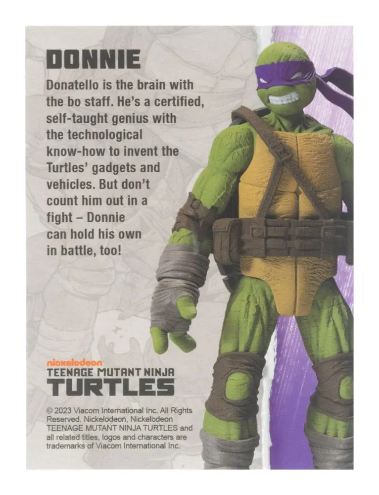 Teenage Mutant Ninja Turtles BST AXN akcijska figura Donatello (IDW Comics) 13 cm fotografija proizvoda