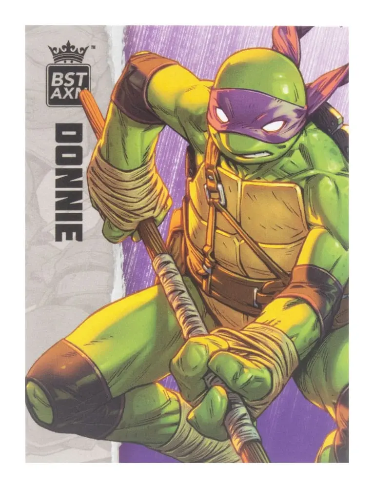 Teenage Mutant Ninja Turtles BST AXN akcijska figura Donatello (IDW Comics) 13 cm fotografija proizvoda