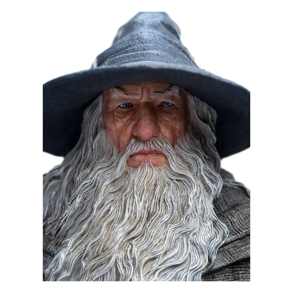 The Lord of the Rings kip 1/6 Gandalf the Grey Pilgrim (Classic Series) 36 cm fotografija proizvoda