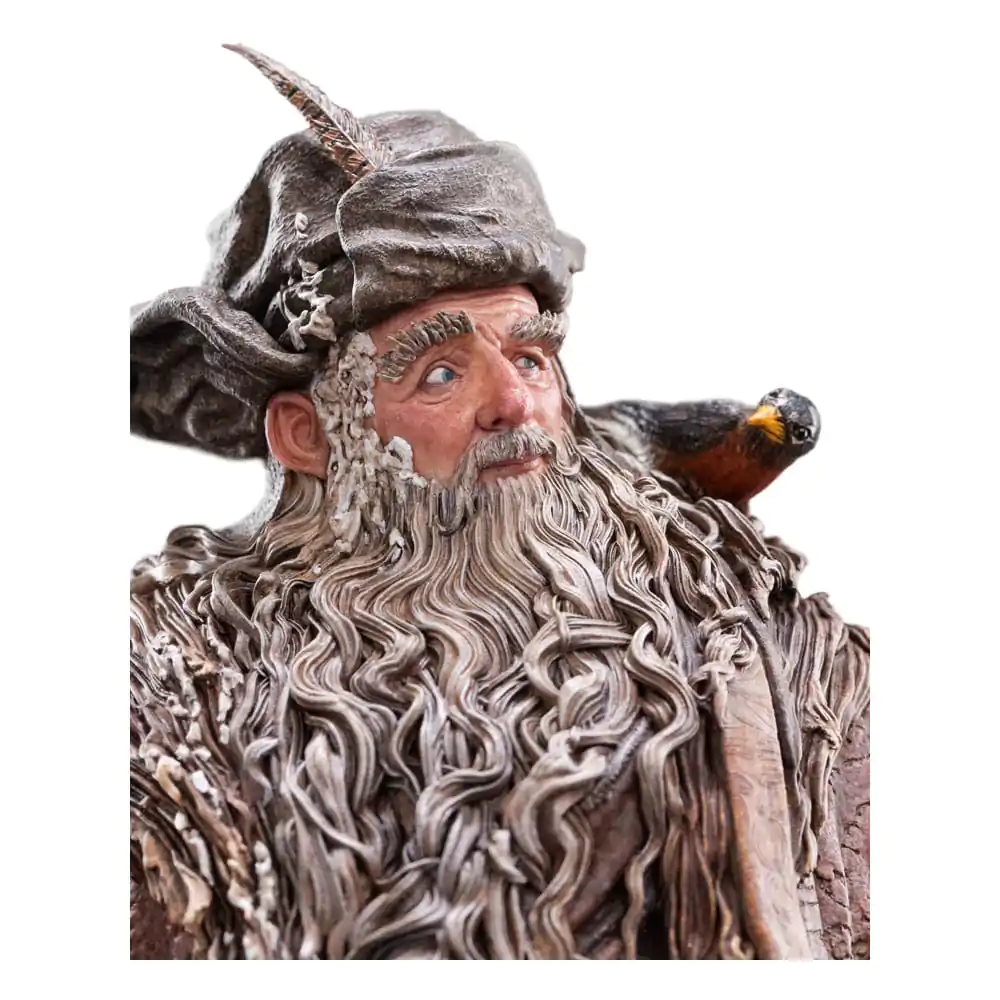 The Lord of the Rings Kip 1/6 Radagast 30 cm fotografija proizvoda