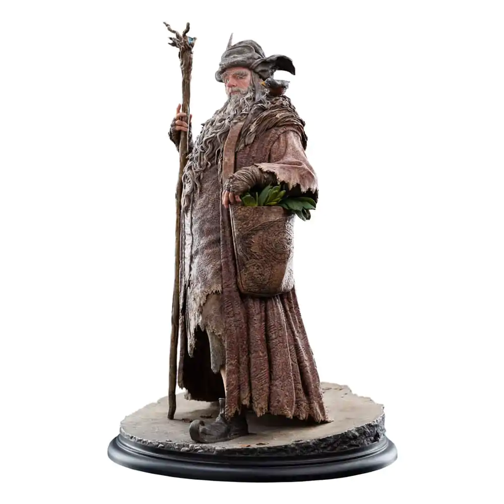 The Lord of the Rings Kip 1/6 Radagast 30 cm fotografija proizvoda