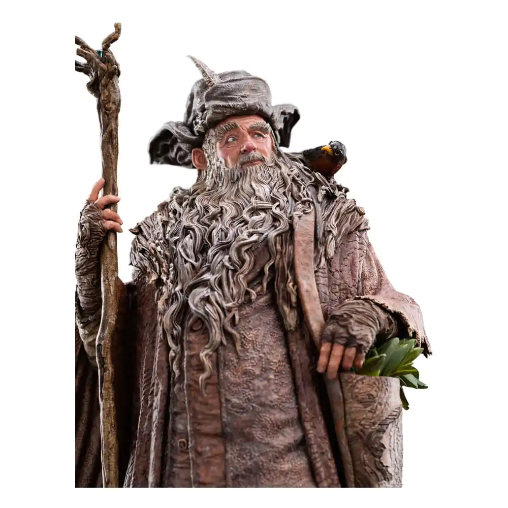 The Lord of the Rings Kip 1/6 Radagast 30 cm fotografija proizvoda