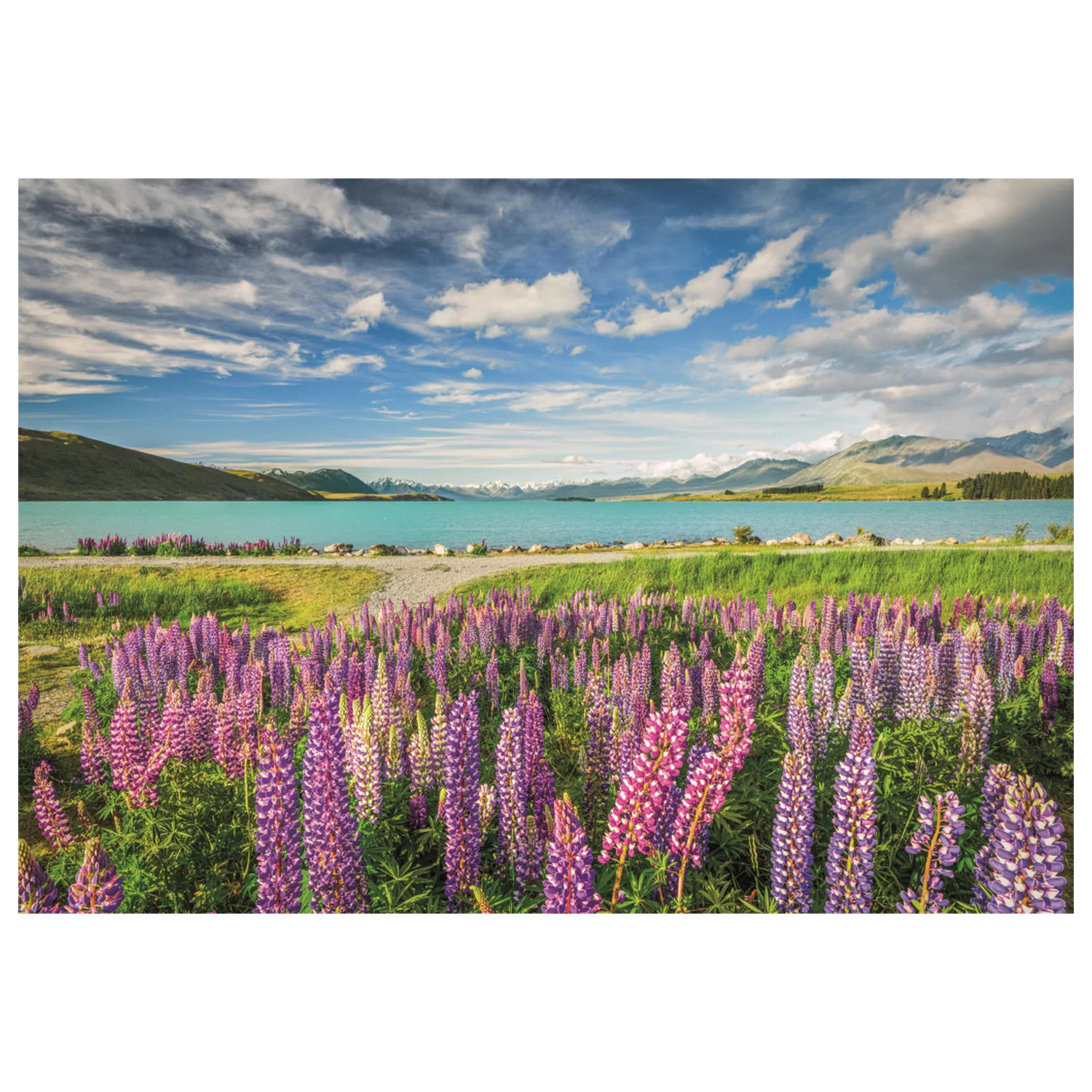 New Zealand Lake Tekapo 1500-dijelna slagalica fotografija proizvoda