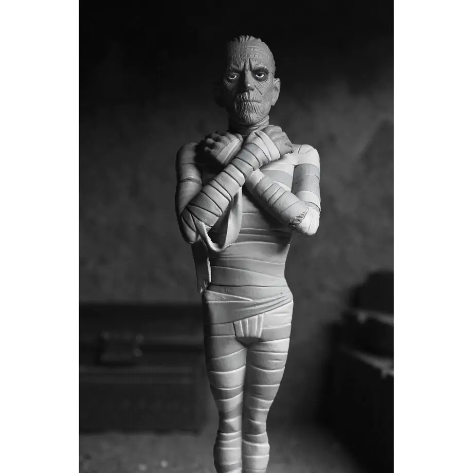 Universal Monsters The Mummy Black & White The Mummy Toony Terrors figura 15 cm fotografija proizvoda