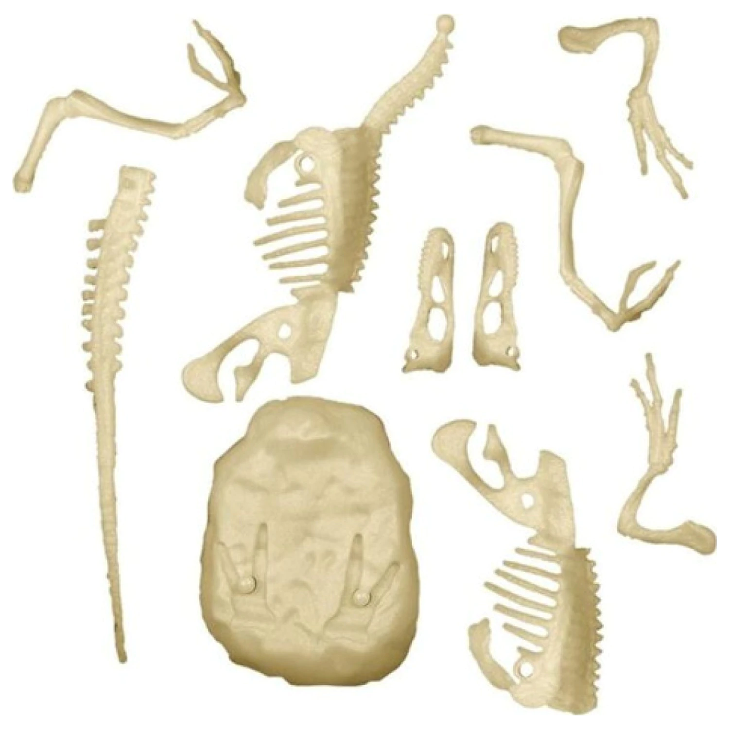 Light-Up Velociraptor Archeo Fun Arheološki set fotografija proizvoda