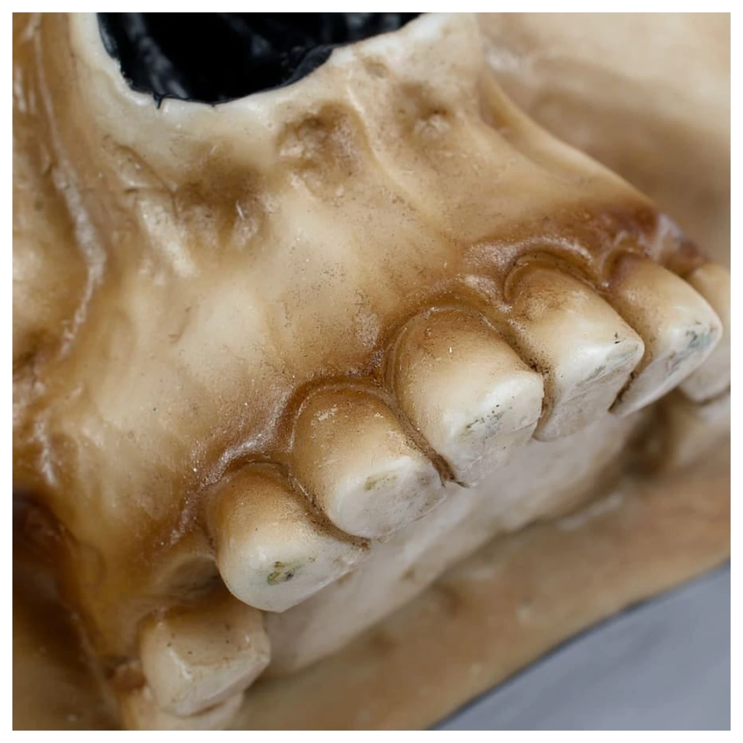 Warhammer 40,000 Šalica Servo Skull fotografija proizvoda