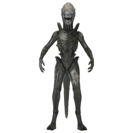 Alien: Earth Ultimate Akcijska figura Wendy's Xenomorph 18 cm fotografija proizvoda