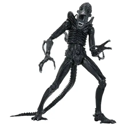 Aliens Ultimate Akcijska figura Warrior (1986) Xenomorph Black (40th Anniversary) 23 cm fotografija proizvoda