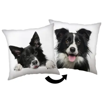 Border Collie jastuk fotografija proizvoda