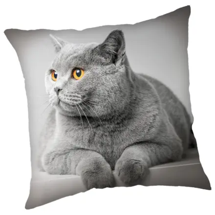 Cats Siva Jastučnica fotografija proizvoda