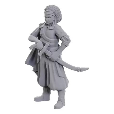 D&D Nolzur's Marvelous Miniatures Neobojene Minijature Ansalon Human Rogue 10 cm fotografija proizvoda
