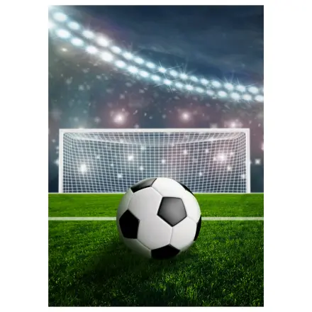 Football Stadium deka od flisa fotografija proizvoda
