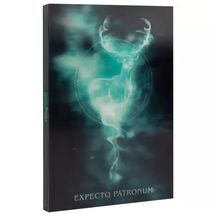Harry Potter A5 lećasta bilježnica fotografija proizvoda