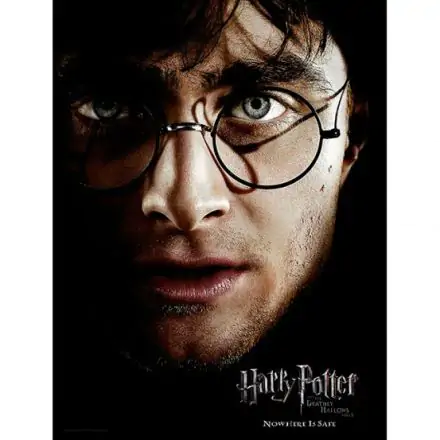 Harry Potter Harry Face stakleni poster fotografija proizvoda
