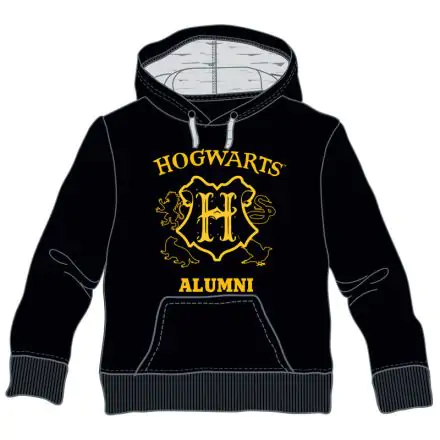 Harry Potter Hogwarts Alumni dječja hoodie majica s kapuljačom termékfotója