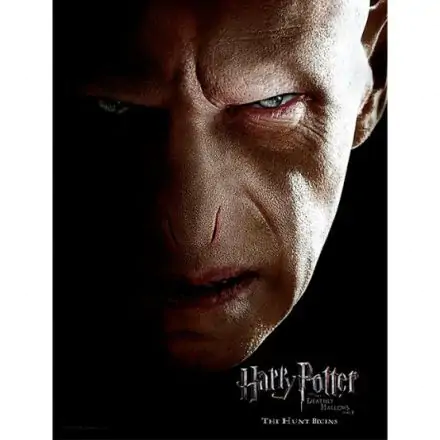 Harry Potter Voldemort Face stakleni poster fotografija proizvoda