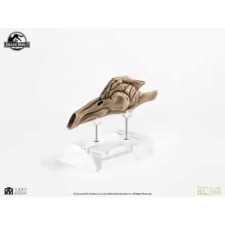 Jurassic Park III Prop Replika 1/1 Velociraptor rezonantna komora 18 cm fotografija proizvoda