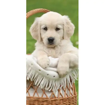 Ručnik za plažu za pse, ručnik za kupanje 70*140 cm fotografija proizvoda