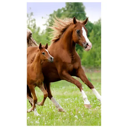 Lovas Career ručnik za ruke, ručnik za lice, ručnik fotografija proizvoda