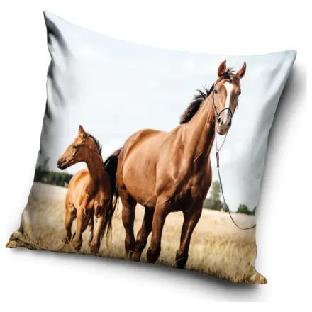 Rider Loyal Hearts Jastučnica fotografija proizvoda