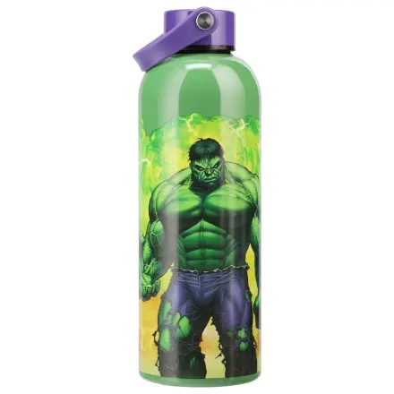 Marvel Universe Metalna boca za vodu Hulk s petljom za nošenje fotografija proizvoda