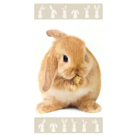 Bunny ručnik za kupanje, ručnik za plažu 70*140cm fotografija proizvoda