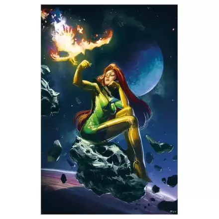 Phoenix #3 (2024) Art Print Phoenix: Death From Above 61 x 46 cm - neuokviren fotografija proizvoda
